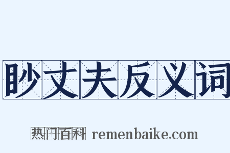 眇丈夫反义词是什么意思的图片